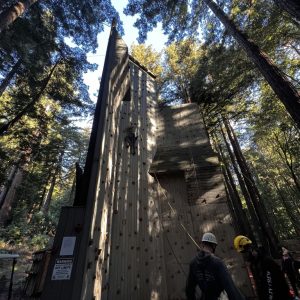 Eagle Quest